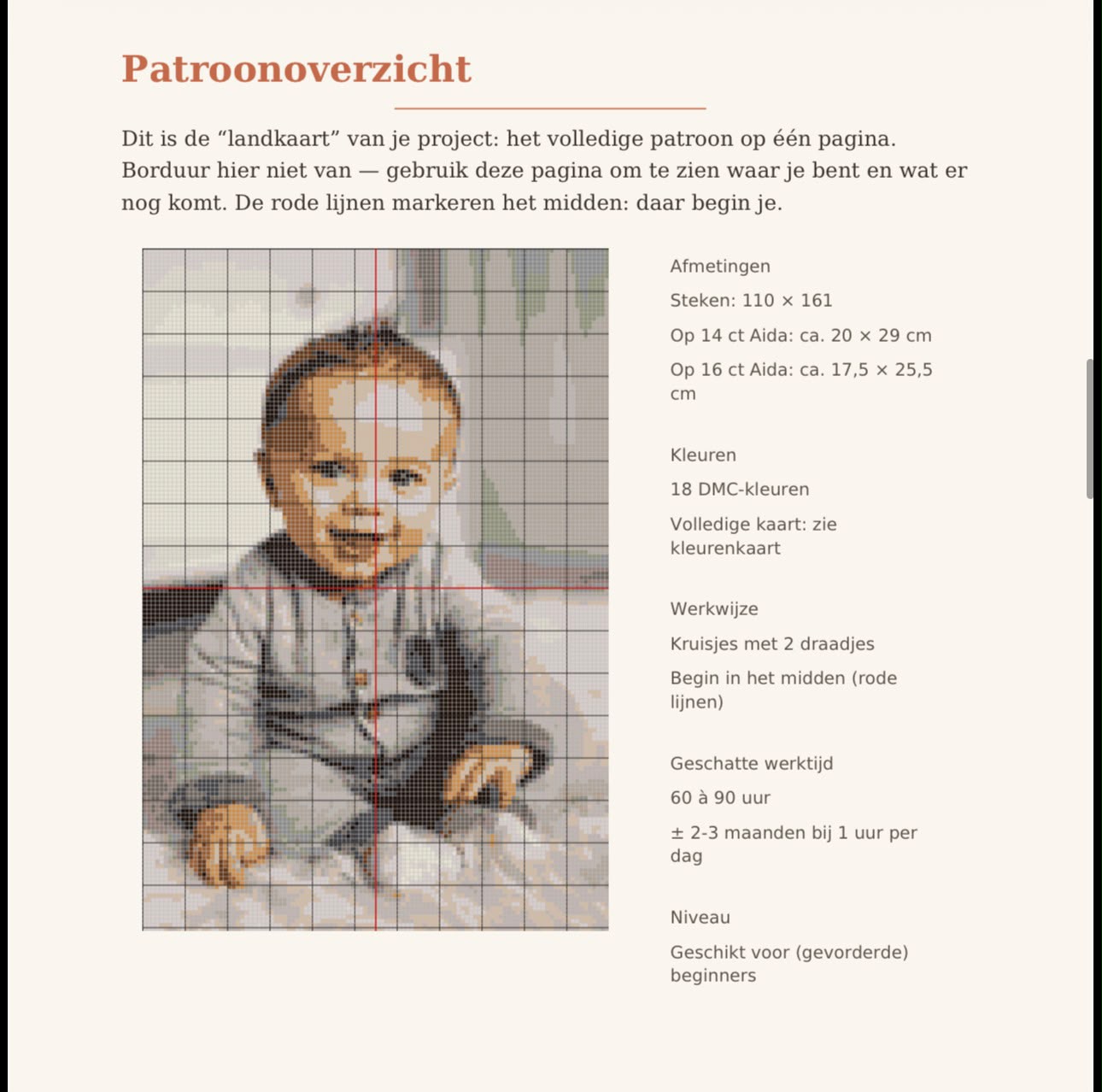 Persoonlijk Kruissteekpatroon van Jouw Foto PDF 🇳🇱